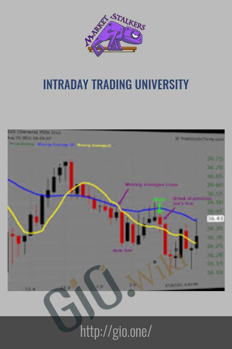 Gauging the Strength of a Market Move with the ACD System